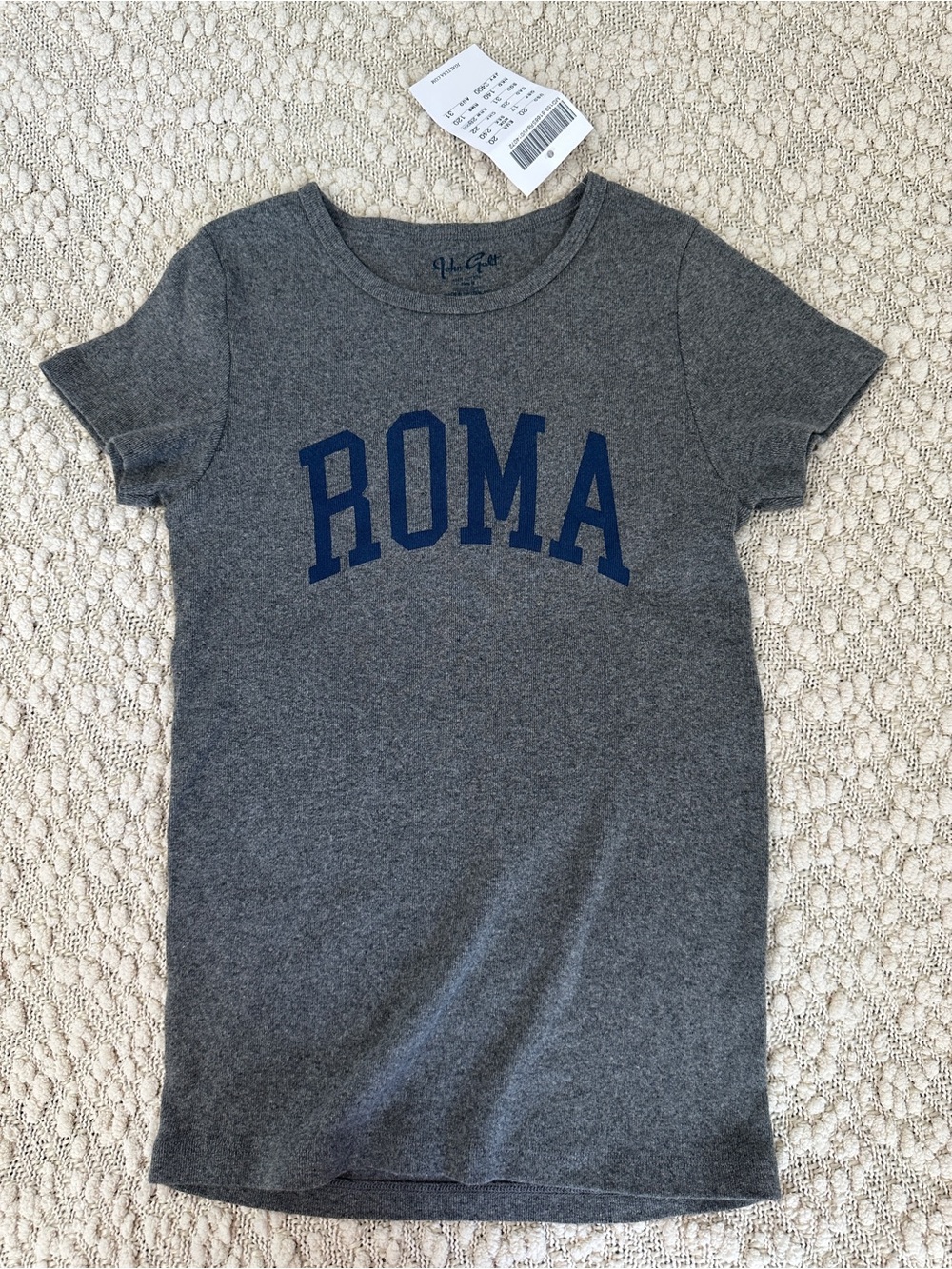 NWT John Galt Brandy Melville Roma Graphic Tee Heather Gray